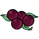 Acai Berries